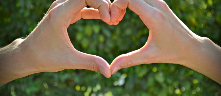 INTELIGENCIA EMOCIONAL