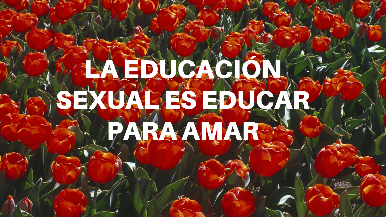 LA EDUCACIÓN SEXUAL ES EDUCAR PARA AMAR-VÍDEO