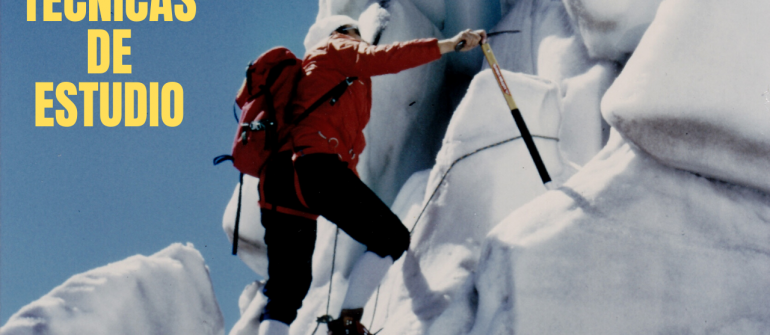 TÉCNICAS DE ESTUDIO
